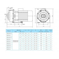Центробежный поверхностный насос CNP MS 250/2,2 SSC