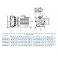 Консольно-моноблочный насос CNP ZS 100-80-200/22 SSC